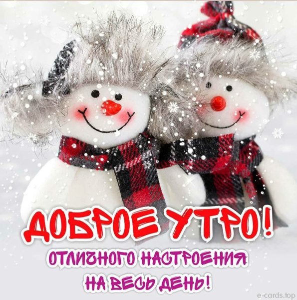 Веселая зима