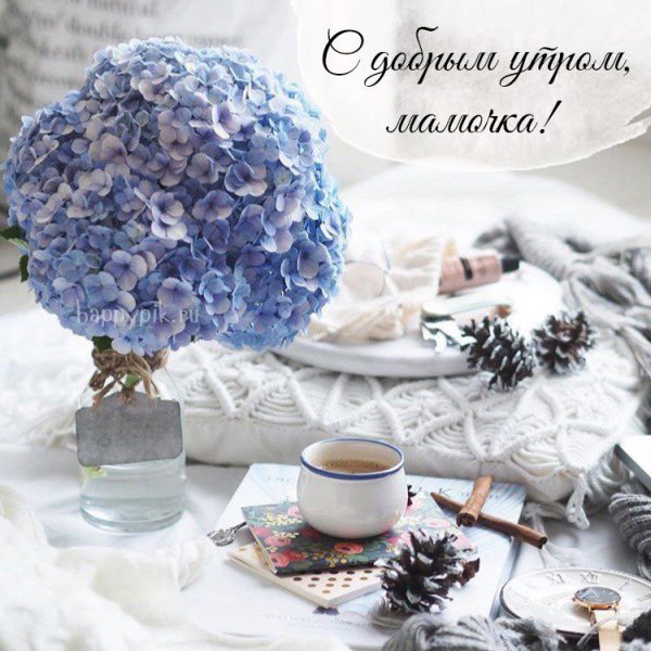 С добрым зимним утром мама