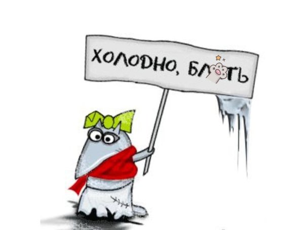 Приколы про холод в квартире