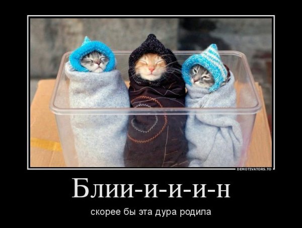 Холодно картинки прикольные