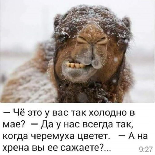 Доброе утро одевайтесь теплее