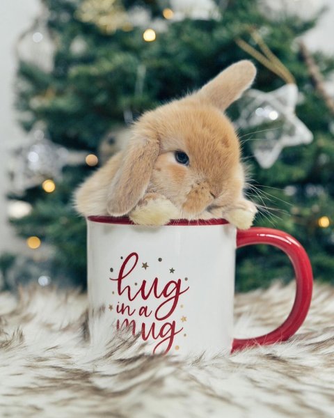 Детская Новогодняя открытка рисунок зайчик