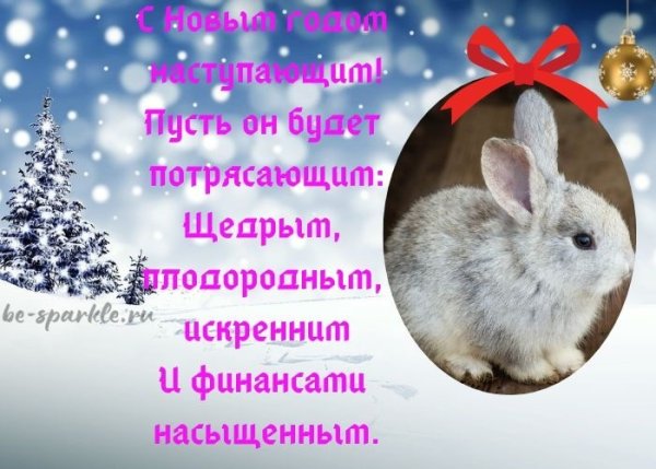 Кролик поздравляет с новым годом