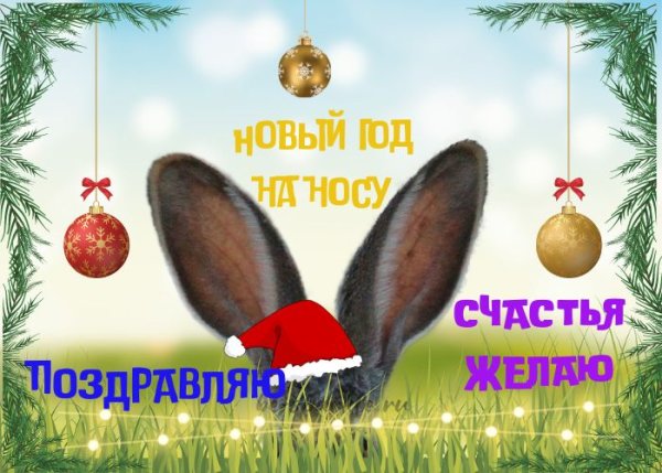 Новый год 2023 открытки кролик