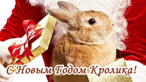 С наступающим новым годом зайчик