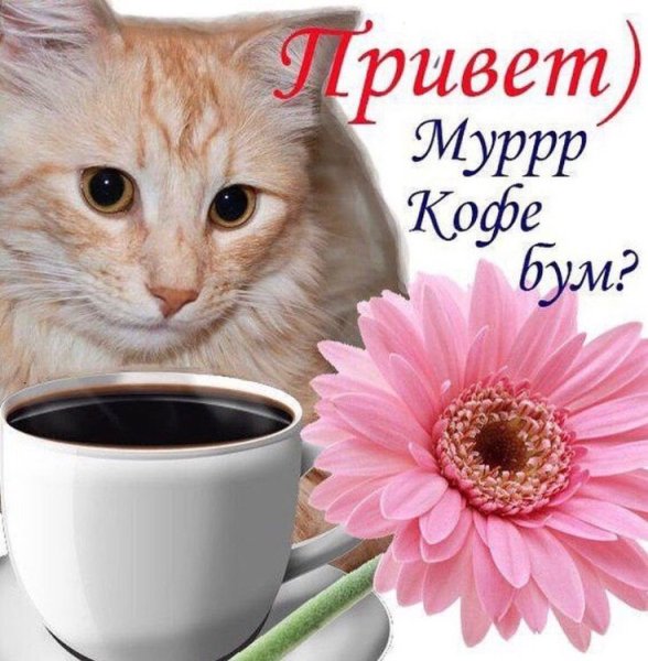 Доброе утро прекрасного дня красивые