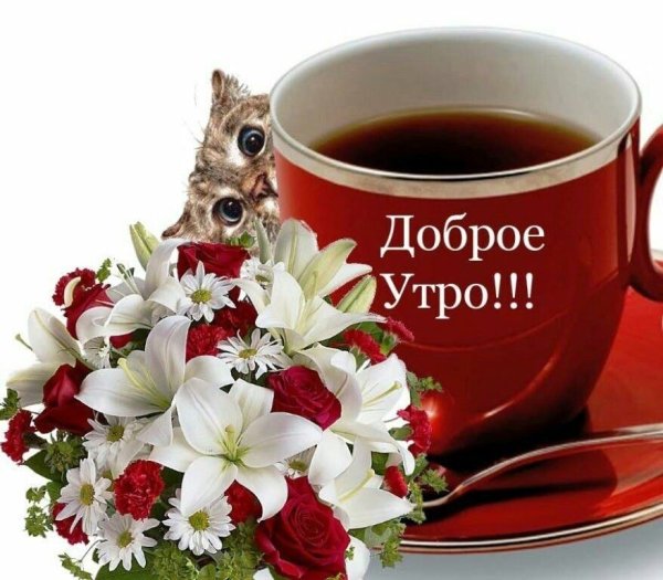 Приветствие с добрым утром