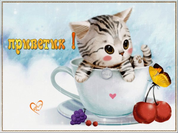 Стикер хорошего дня