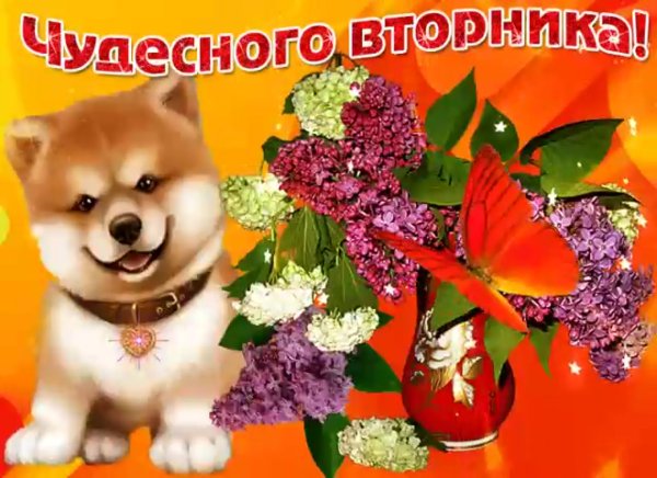 Открытки чудесного вторника