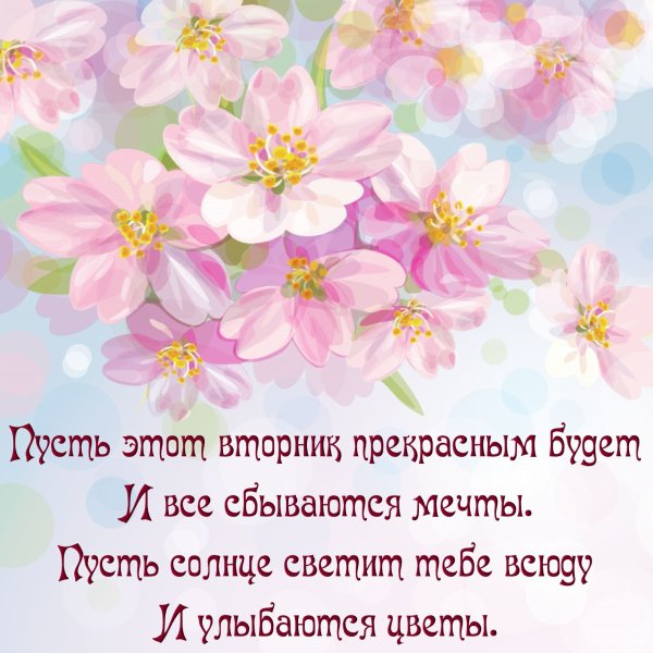 Доброго вторника