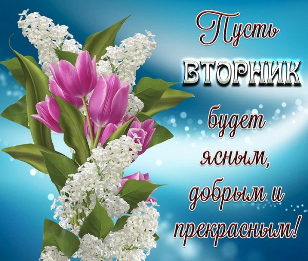 Поздравления со вторником