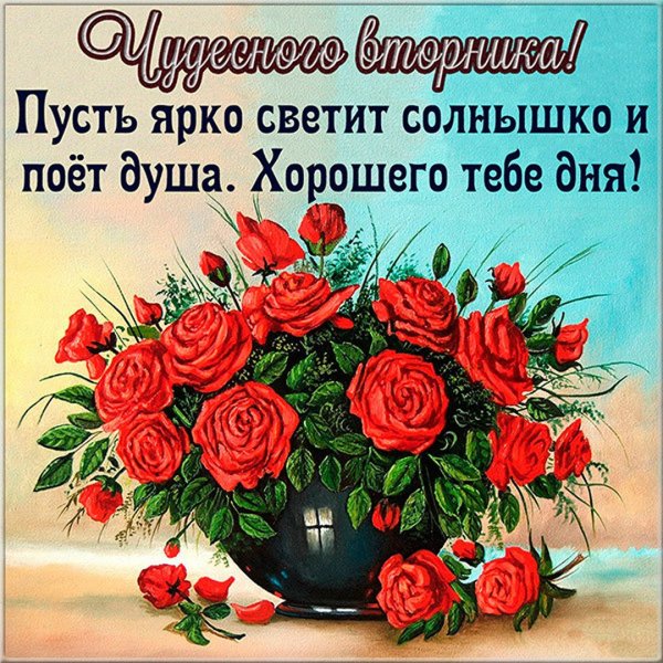 Доброе утро вторника