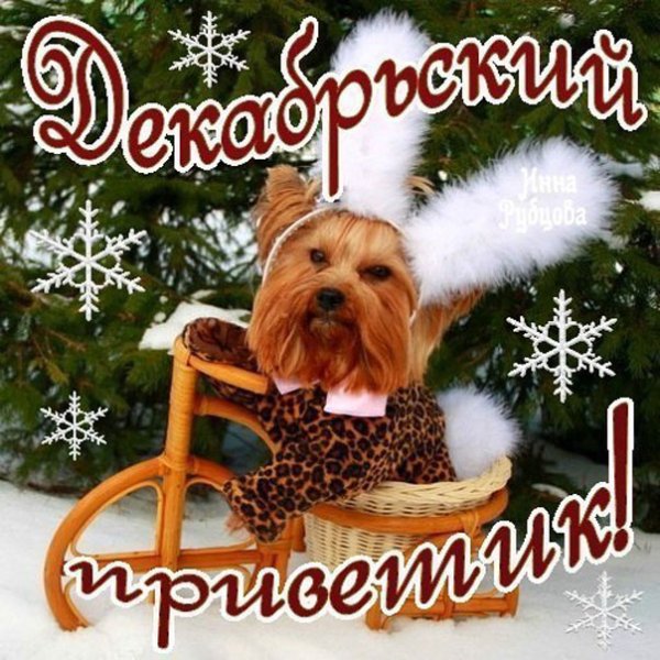 Пожелания хорошего зимнего дня