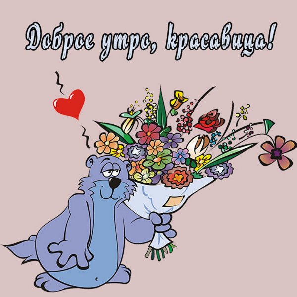 Смешная открытка с добрым утром женщине