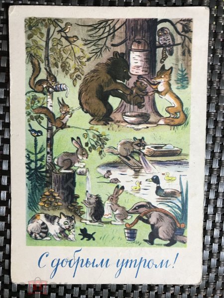 Советские иллюстрации с животными