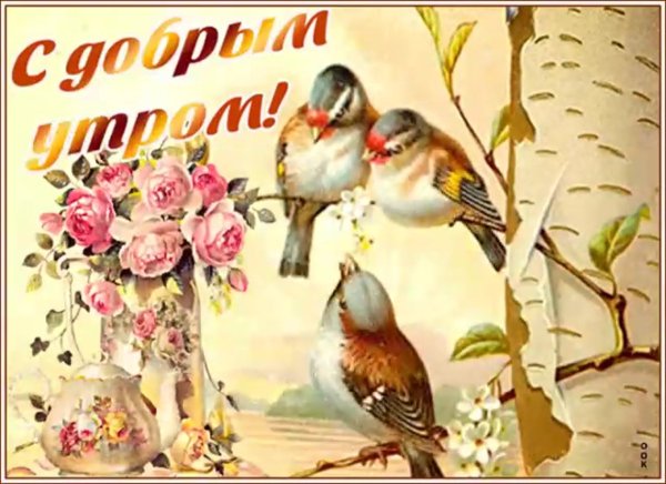 Открытки с добрым утром с собаками