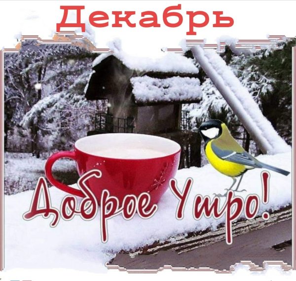 Зимние поздравления с добрым утром