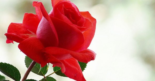 Поздравления с днём рождения на башкирском языке