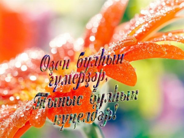 Ура ҡотлайбыҙ