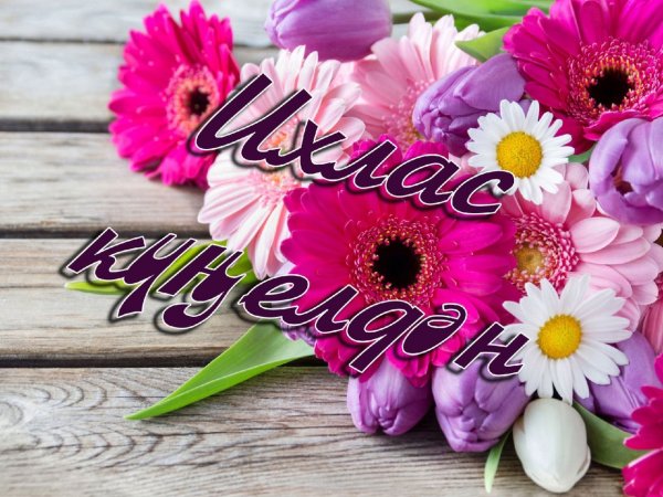 Тыуган Конон менэн бабушка котлайбыз