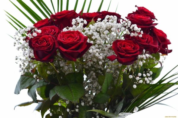 Открытки с цветами