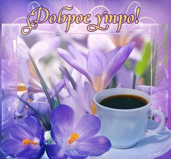 Открытки с добрым утром красивые