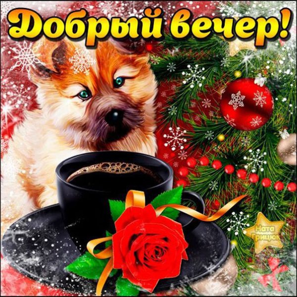 Добрый зимний вечер с животными