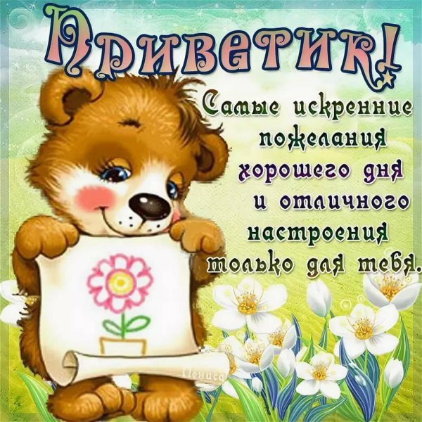 Красивые прикольные открытки