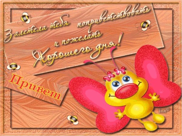 День приветствий