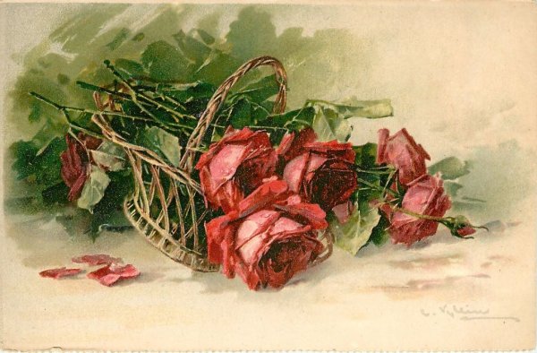 Катарина Кляйн розы