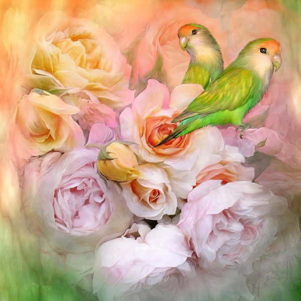 Аннет Логинова семья кошек