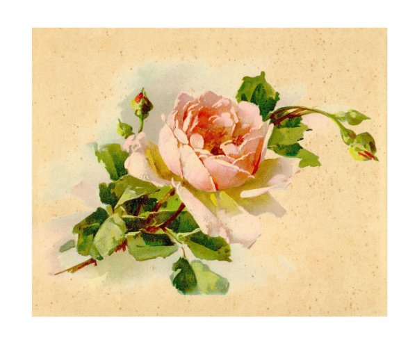 Аннет Логинова художник