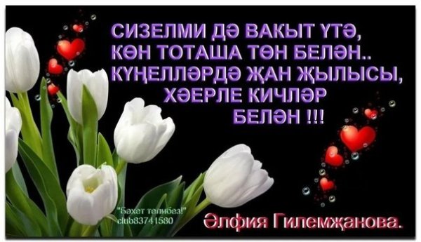 Спокойной ночи на татарском языке