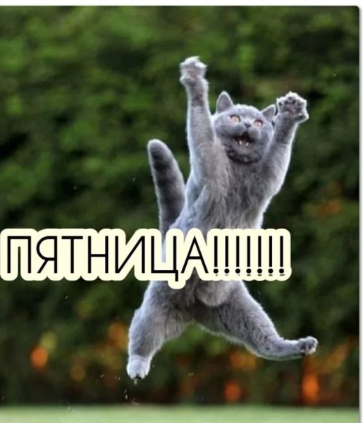 Пятница приколы