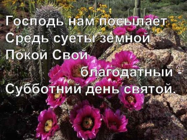 С субботой христианские открытки