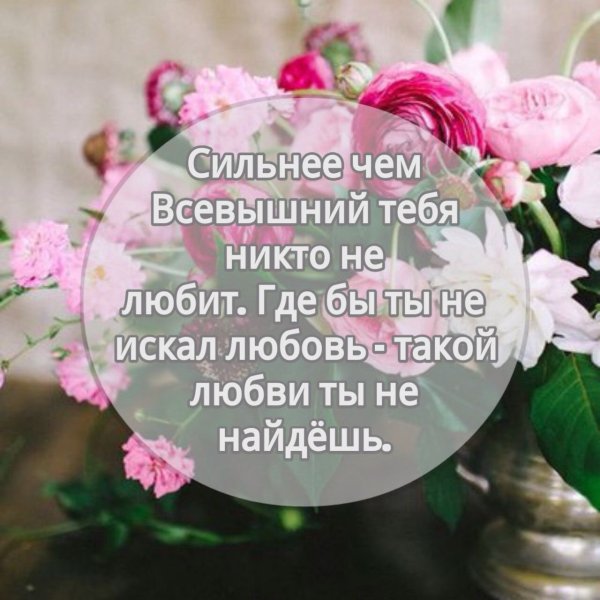 Прекрасные нежные цветы