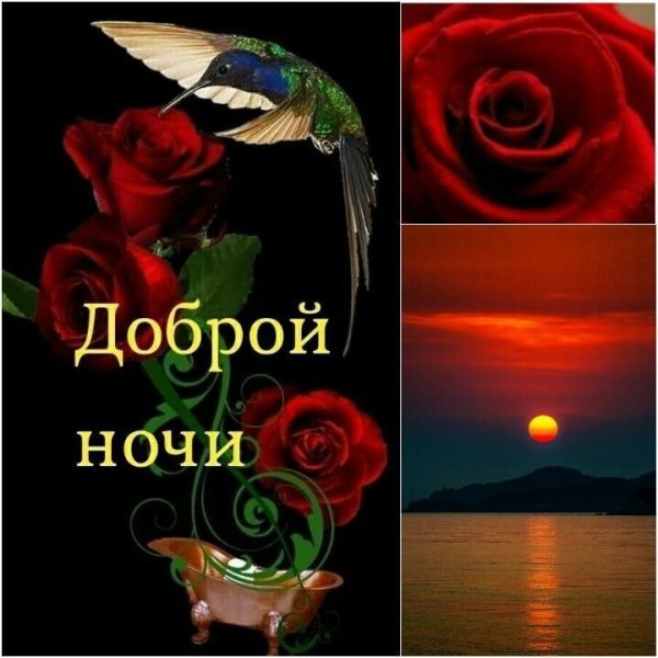 Спокойной благословенной ночи