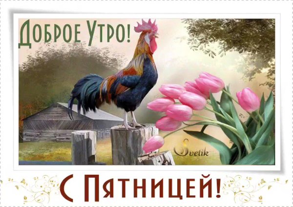 Открытки с добрым утром пятницы