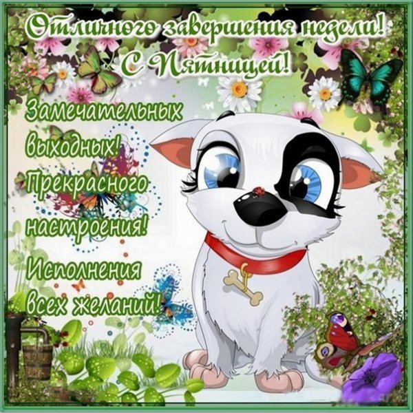 Открытка с добрым утром ура пятница