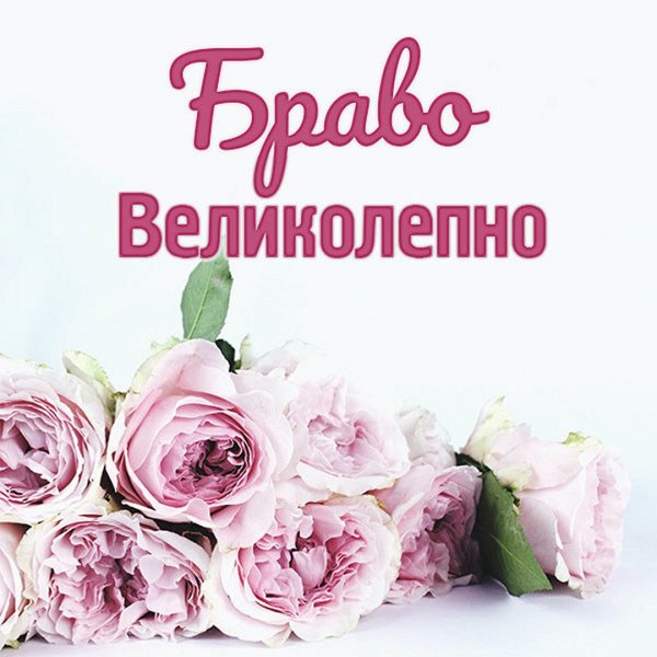 Браво великолепно