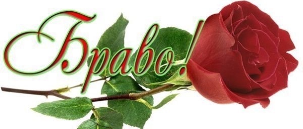 Браво цветы