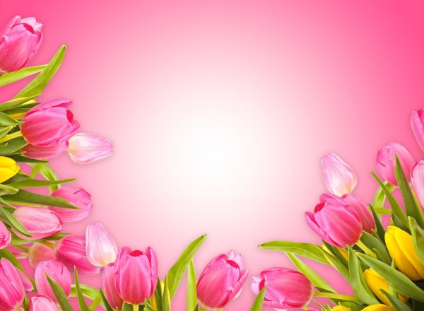 Фон для поздравления