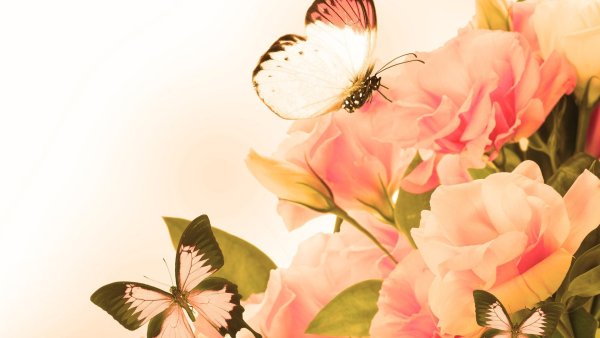 Фон для открытки