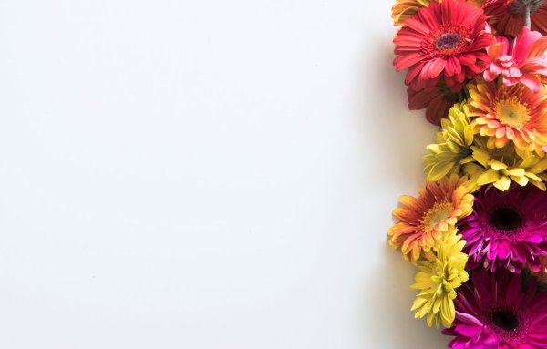 Рамка с герберами