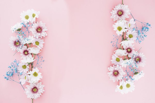 Фоновые цветы для открытки