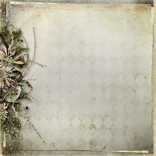 Красивый фон для текста