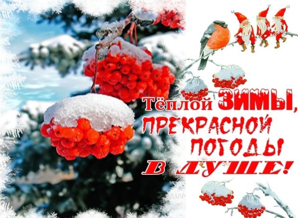 Зимние пожелания