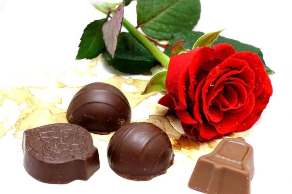 Шоколадные цветы