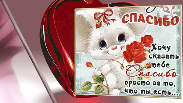 Международный день спасибо 11 января