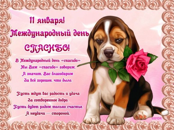 День спасибо